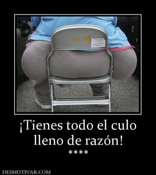 ¡Tienes todo el culo lleno de razón! ****