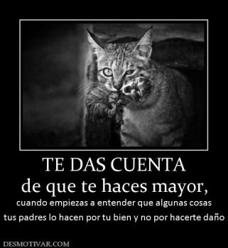 TE DAS CUENTA de que te haces mayor, cuando empiezas a entender que algunas cosas tus padres lo hacen por tu bien y no por hacerte daño