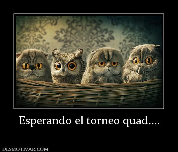 Esperando el torneo quad....