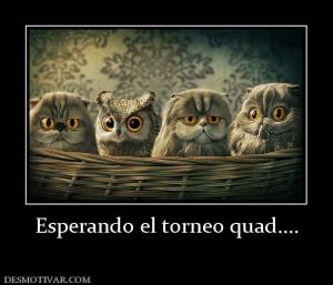 Esperando el torneo quad....