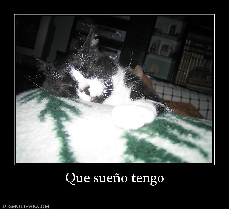 Que sueño tengo