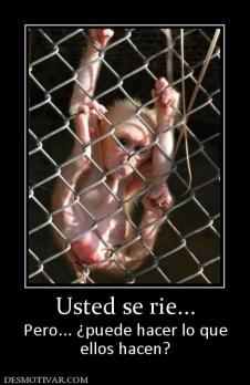 Usted se rie... Pero... ¿puede hacer lo que ellos hacen?