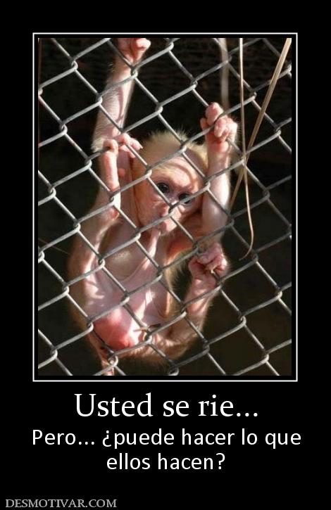 Usted se rie... Pero... ¿puede hacer lo que ellos hacen?