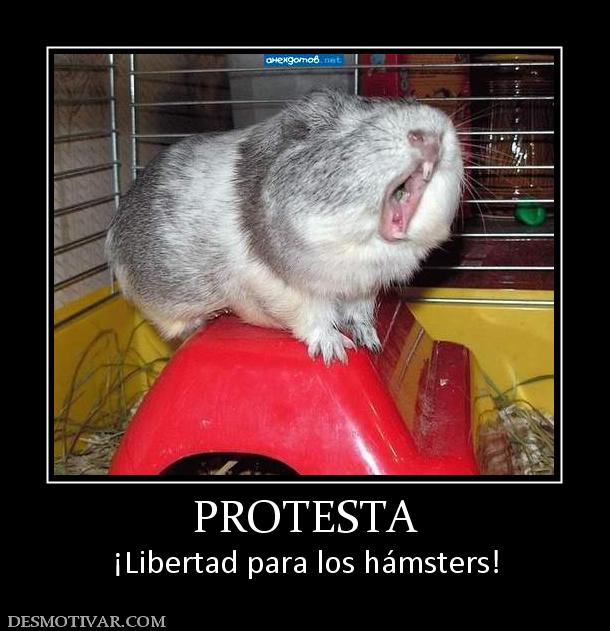 PROTESTA ¡Libertad para los hámsters!