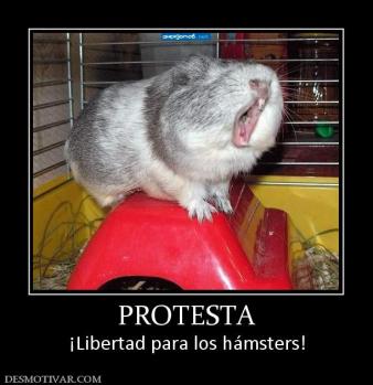PROTESTA ¡Libertad para los hámsters!
