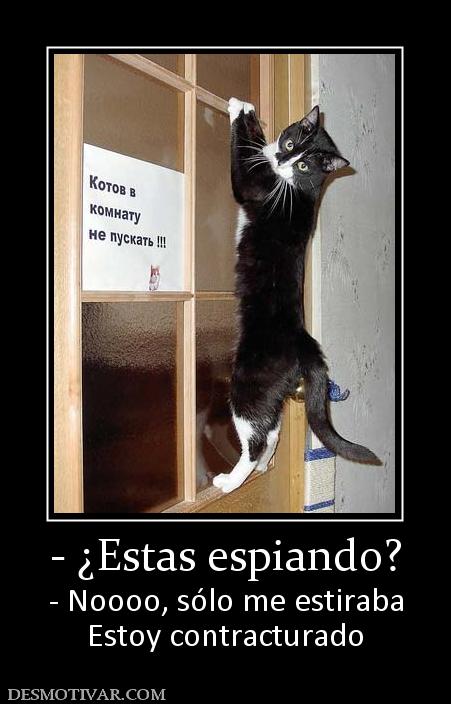 - ¿Estas espiando? - Noooo, sólo me estiraba Estoy contracturado