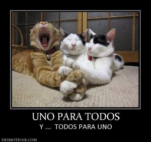 UNO PARA TODOS Y ...  TODOS PARA UNO
