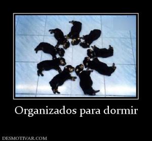 Organizados para dormir