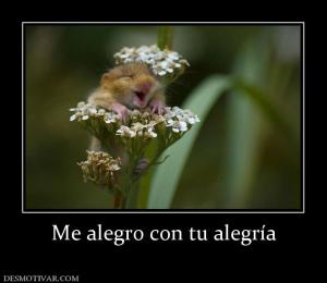 Me alegro con tu alegría
