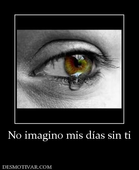 No imagino mis días sin ti