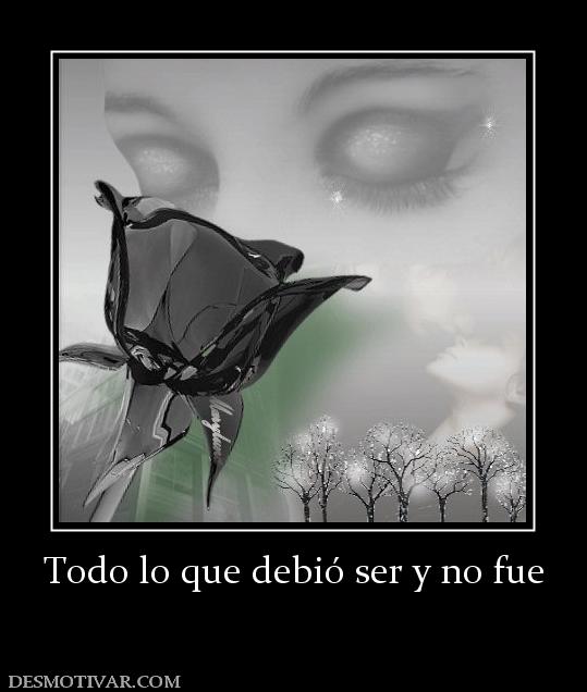 Todo lo que debió ser y no fue