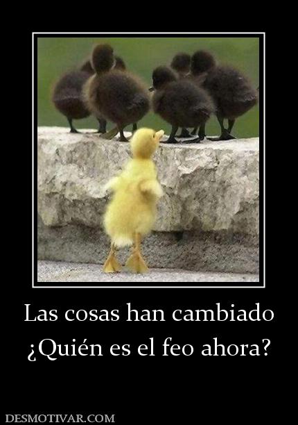 Las cosas han cambiado ¿Quién es el feo ahora?