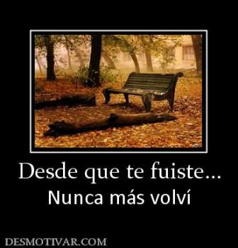 Desde que te fuiste... Nunca más volví
