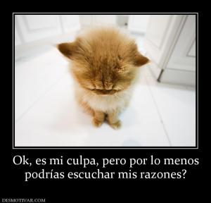 Ok, es mi culpa, pero por lo menos podrías escuchar mis razones?