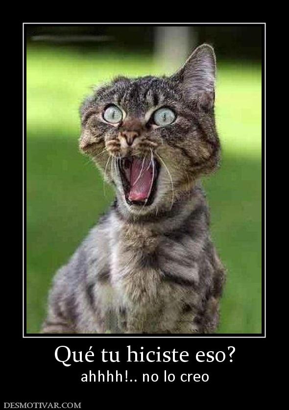 Qué tu hiciste eso? ahhhh!.. no lo creo