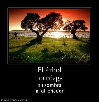 El árbol no niega  su sombra ni al leñador