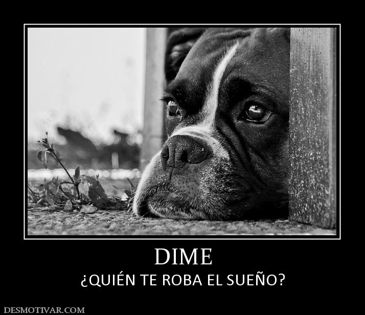 DIME ¿QUIÉN TE ROBA EL SUEÑO?