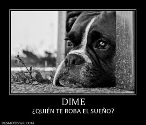 DIME ¿QUIÉN TE ROBA EL SUEÑO?