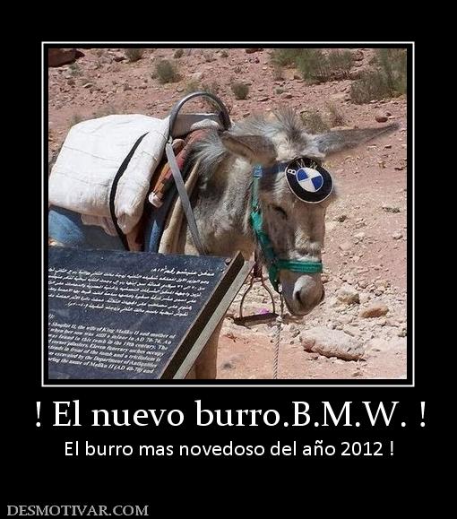 ! El nuevo burro.B.M.W. ! El burro mas novedoso del año 2012 !