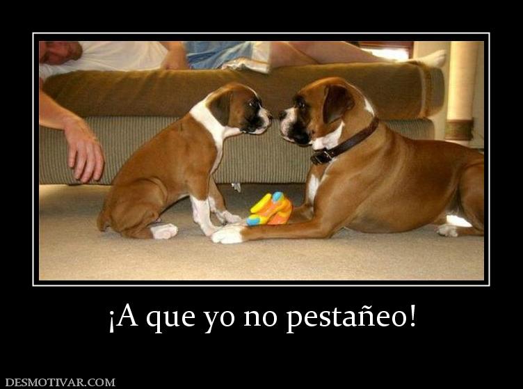 ¡A que yo no pestañeo!