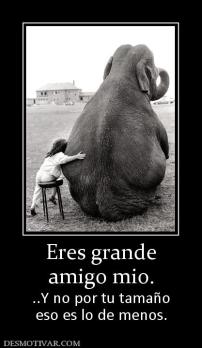 Eres grande amigo mio. ..Y no por tu tamaño eso es lo de menos.