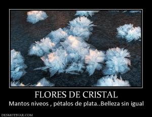 FLORES DE CRISTAL Mantos níveos , pétalos de plata..Belleza sin igual