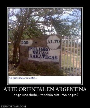 ARTE ORIENTAL EN ARGENTINA Tengo una duda ...tendrán cinturón negro?