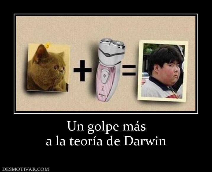 Un golpe más a la teoría de Darwin