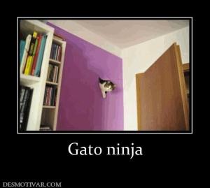 Gato ninja