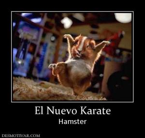El Nuevo Karate Hamster