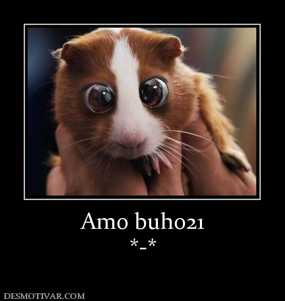 Amo buho21 *-*