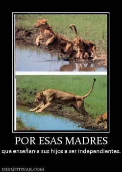 POR ESAS MADRES que enseñan a sus hijos a ser independientes.