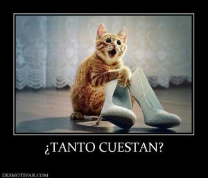 ¿TANTO CUESTAN?