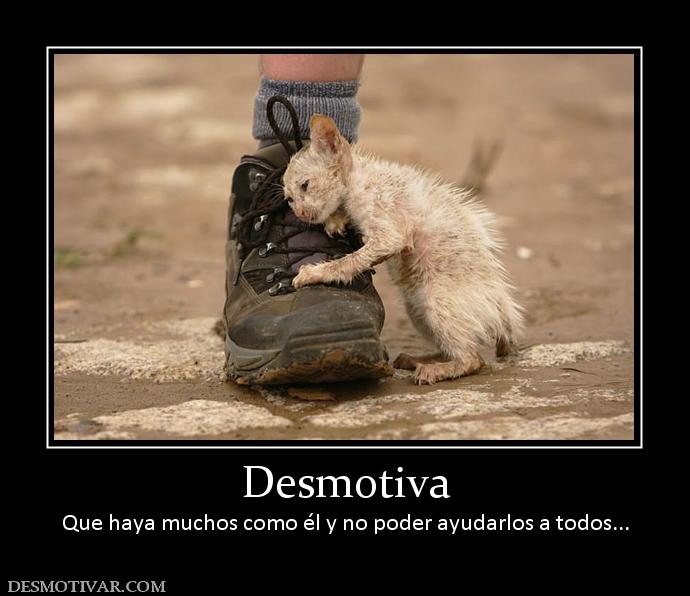 Desmotiva Que haya muchos como él y no poder ayudarlos a todos...