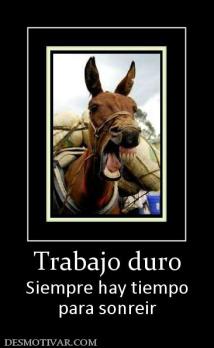 Trabajo duro Siempre hay tiempo para sonreir