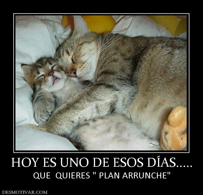 HOY ES UNO DE ESOS DÍAS..... QUE  QUIERES