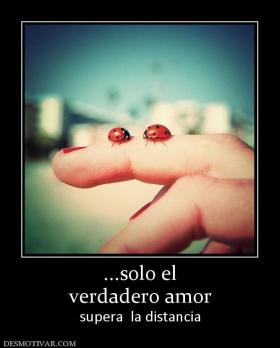 ...solo el verdadero amor supera  la distancia