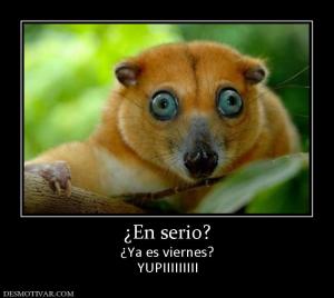 ¿En serio? ¿Ya es viernes? YUPIIIIIIIII