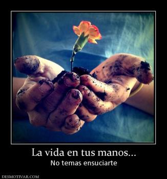 La vida en tus manos... No temas ensuciarte