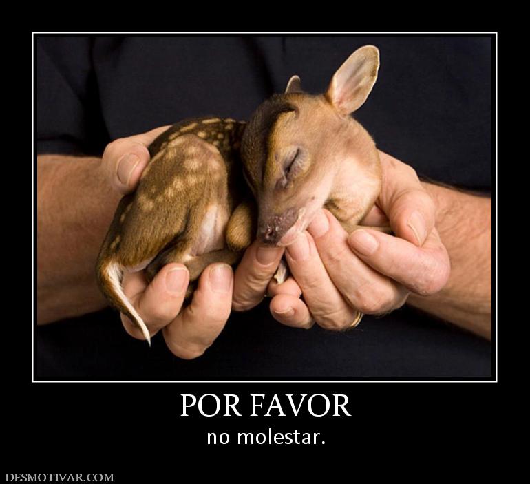 POR FAVOR no molestar.