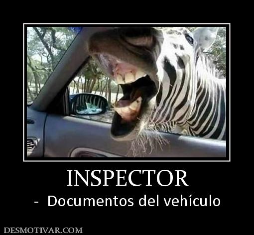 INSPECTOR -  Documentos del vehículo