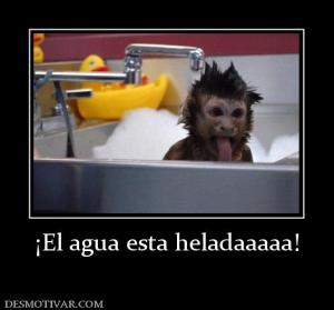 ¡El agua esta heladaaaaa!