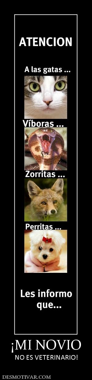 ¡MI NOVIO NO ES VETERINARIO!