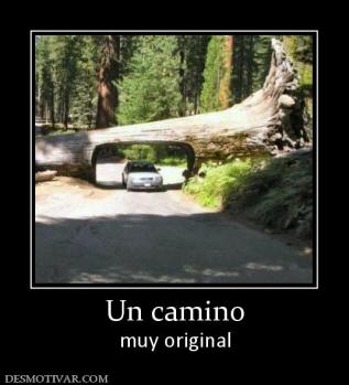 Un camino muy original