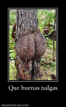 Que buenas nalgas