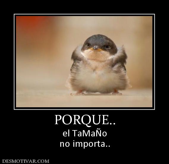 PORQUE.. el TaMaÑo no importa..