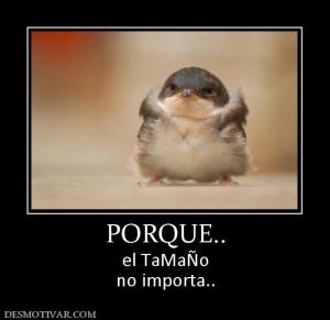 PORQUE.. el TaMaÑo no importa..