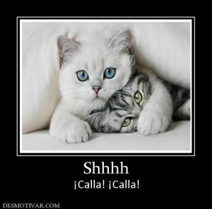 Shhhh ¡Calla! ¡Calla!