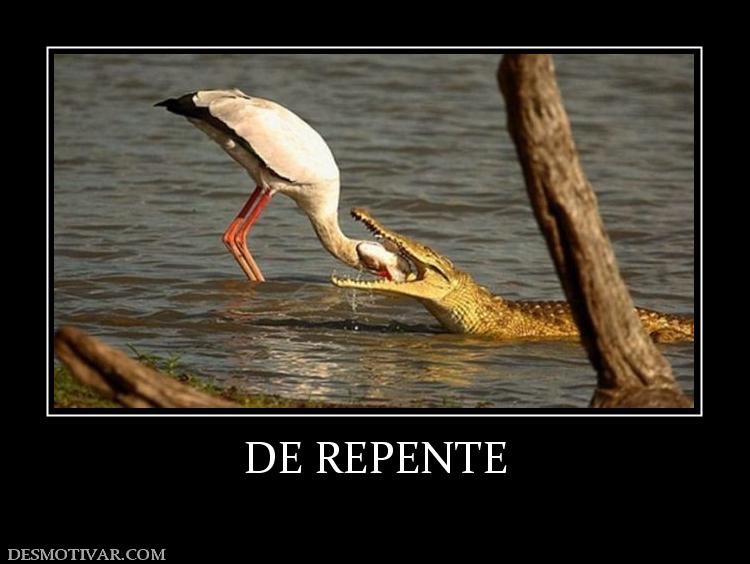 DE REPENTE