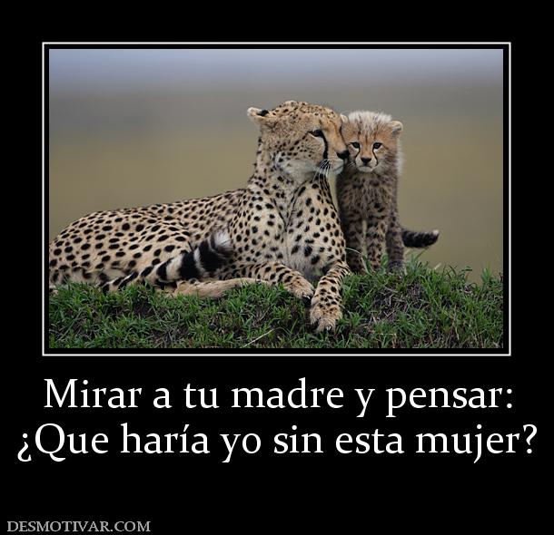 Mirar a tu madre y pensar: ¿Que haría yo sin esta mujer?